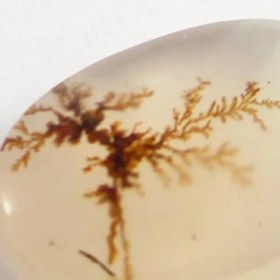 تصویر سنگ شجر کد 3047 