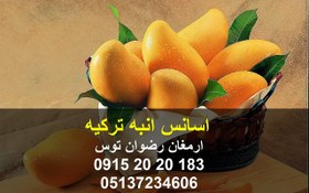 تصویر اسانس انبه ترکیه 