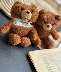 تصویر کاور ایرپاد Teddy Bear قهوه ای (کدC0074) 