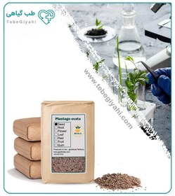 تصویر بذر اسفرزه خشک فله 