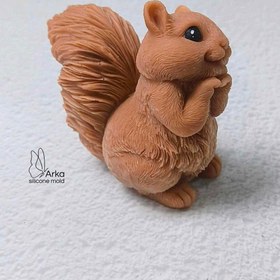 تصویر قالب سنجاب 