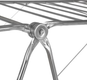 تصویر بندرخت 