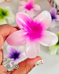 تصویر مینی کلیپس پلومریا 4 سانتی Plumeria mini clips 4 cm