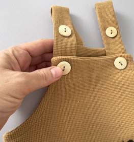 تصویر بیلر بیسکویتی تدی 