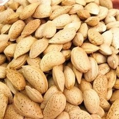 تصویر بادام سنگی badam