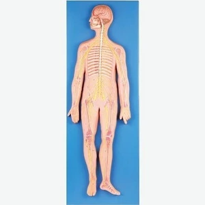 تصویر فروشگاه تهران مدیکال