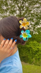 تصویر کلیپس پلومریا کد01 