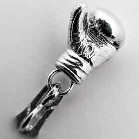 تصویر پلاک نقره 