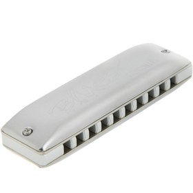 تصویر سازدهنی سیدل مدل Blues Favorite 