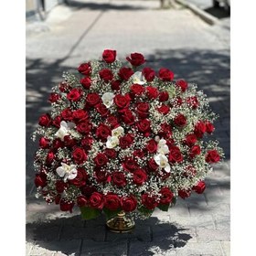 تصویر جام گل بله برون 937 