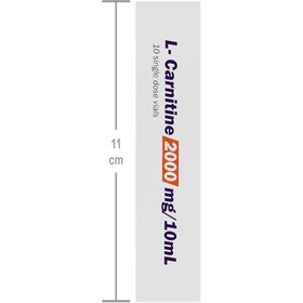 تصویر ال کارنیتین 2000 میلی گرم پرتقال نکستایل L-Carnitine 2000 Oral Solution Nextyle Vitamins