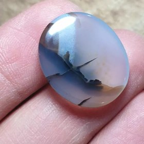 تصویر شجر قائن قواره دار منظره 