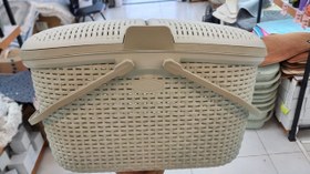 تصویر سبد پیک نیک ریو 