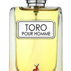 تصویر عطر ادکلن مردانه تق هرمس الحمبرا (Alhambra Hermes Terre d’Hermes) Alhambra Toro Pour Homme - Hermes Terre d’Hermes