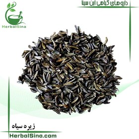 تصویر زیره سیاه 