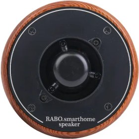 تصویر اسپیکر Pro 