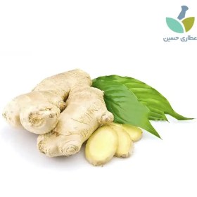 تصویر زنجبیل 