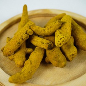 تصویر زردچوبه قلم 