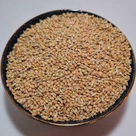 تصویر دون تقویتی مرغ عشق 