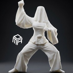 تصویر فیگور روح زن کاراته باز 