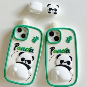 تصویر قاب پاندا پروتزی 