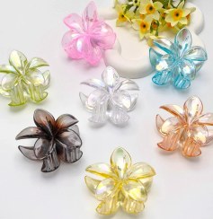 تصویر کلیپس‌پلومریا شیشه‌ای‌سایز‌بزرگ 