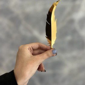 تصویر بال کیک – کد 10 (بسته ۵ عددی) 