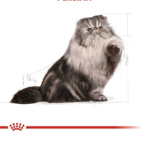 تصویر غذای خشک گربه رویال کنین مدل Persian Adult Royal Canin Persian Adult Dry Cat Food