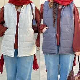 تصویر پافر طوسی حانی گلی 