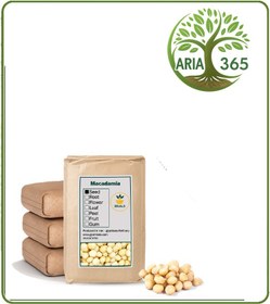 تصویر مغز فندق ماکادمیا خام فله 