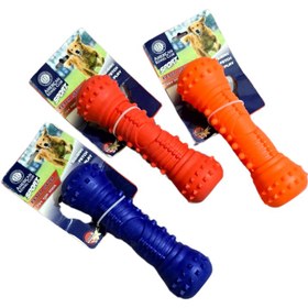 تصویر دندانی و سرگرمی سگ 