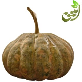 تصویر کدو حلوایی ارگانیک امین شیرین مازندران 