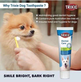 تصویر خمیردندان سگ با طعم نعناع، مراقبت دهان و دندان، 100 گرم برند trixie Dog Toothpaste With Mint, Oral Care,100G