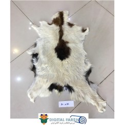 تصویر پوست طبیعی تزیینی بزی sheep wool