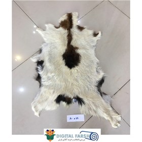 تصویر پوست طبیعی تزیینی بزی ا sheep wool sheep wool