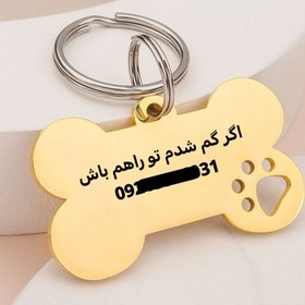 تصویر پلاک استخوان مدل COCO - 3.5 سانت / 2 حک / طلایی 