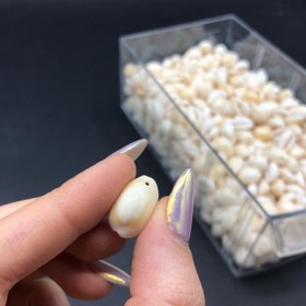 تصویر صدف تک سوراخ 