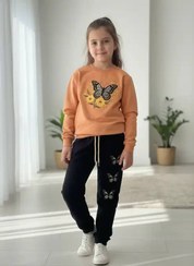 تصویر ست گلدوزی پروانه 