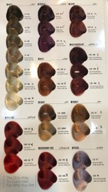 تصویر رنگ موی بیول کد 6.0 بلوند تیره طبیعی biol Hair Color (No6.0)