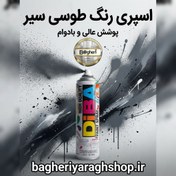 تصویر اسپری رنگ طوسی سیر دیبا 300ml 