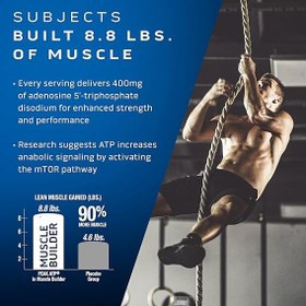 تصویر ماسل بیلد 90 کپسول ماسل تک Muscletech Muscle Builder 90 caps