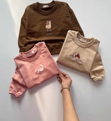 تصویر اسپرت/دورس تک/مینیمال - سایز۴۵:پهنا۴۰/بلندی۴۴/قد آستین از کنار یقه۴۳ / شکلاتی 