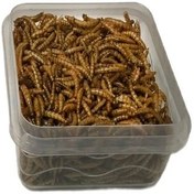 تصویر میلورم (کرم خشک) 