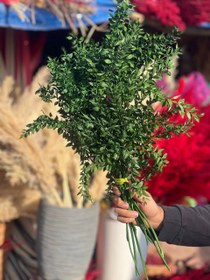 تصویر گل خشک جزه رنگ سبز یک دسته 