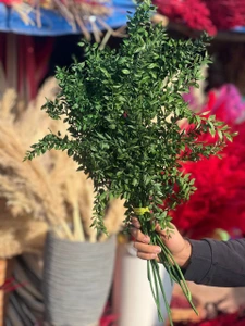 تصویر فروشگاه گلستونک