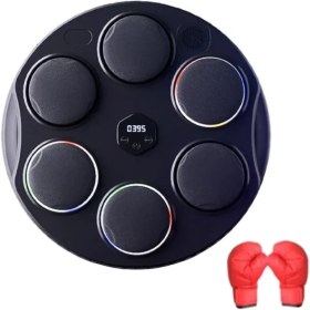 تصویر کیسه بوکس موزیکال 