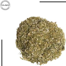 تصویر بابونه شیراز 