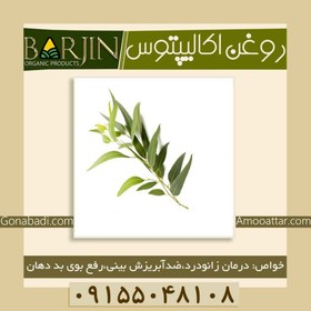 تصویر روغن اکالیپتوس ( یک لیتری ) 