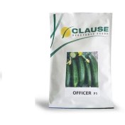 تصویر بذر خیار کلوز آفیسر 100 عددی 