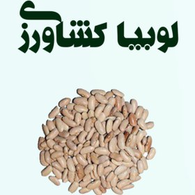 تصویر لوبیا کشاورزی 
